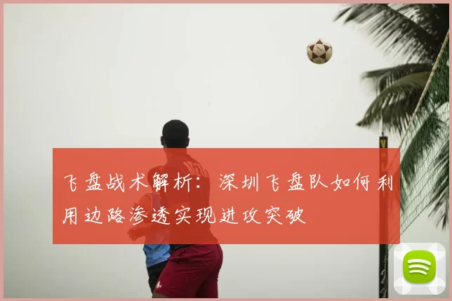飞盘战术解析:深圳飞盘队如何利用边路渗透实现进攻突破
