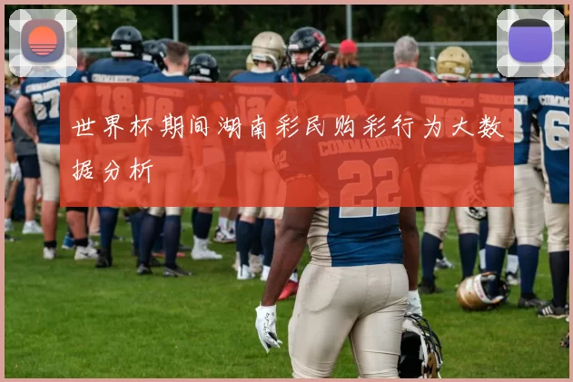 世界杯期间湖南彩民购彩行为大数据分析
