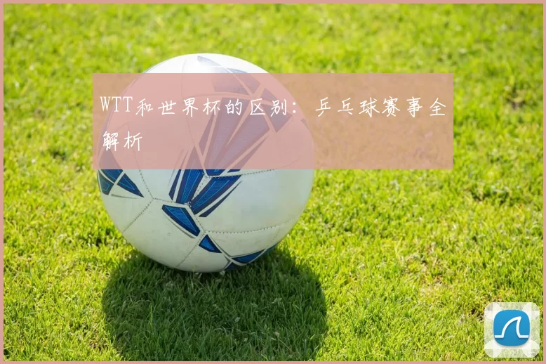 WTT和世界杯的区别:乒乓球赛事全解析