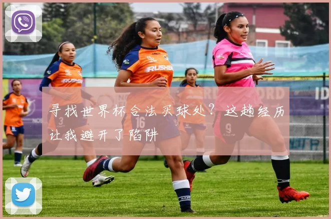寻找世界杯合法买球处?这趟经历让我避开了陷阱