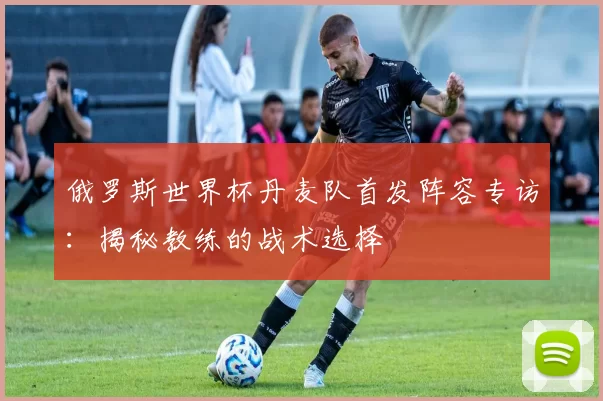 俄罗斯世界杯丹麦队首发阵容专访:揭秘教练的战术选择