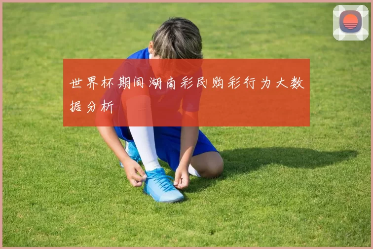 世界杯期间湖南彩民购彩行为大数据分析