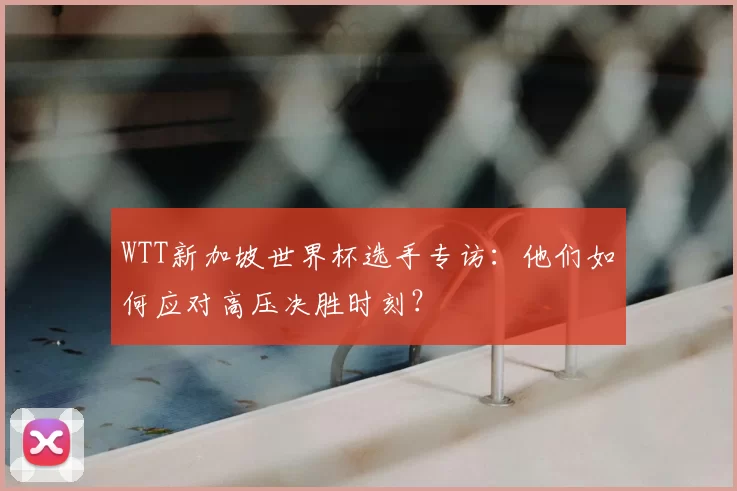 WTT新加坡世界杯选手专访:他们如何应对高压决胜时刻?
