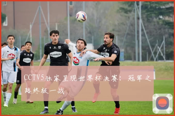 CCTV5独家呈现世界杯决赛:冠军之路终极一战