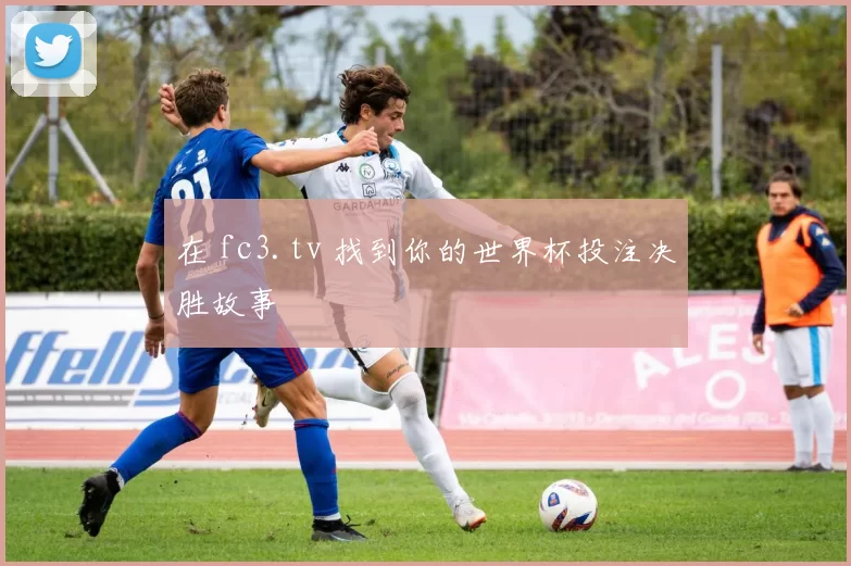 在 fc3.tv 找到你的世界杯投注决胜故事
