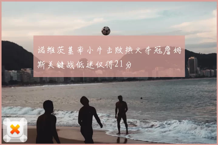 诺维茨基率小牛击败热火夺冠詹姆斯关键战低迷仅得21分