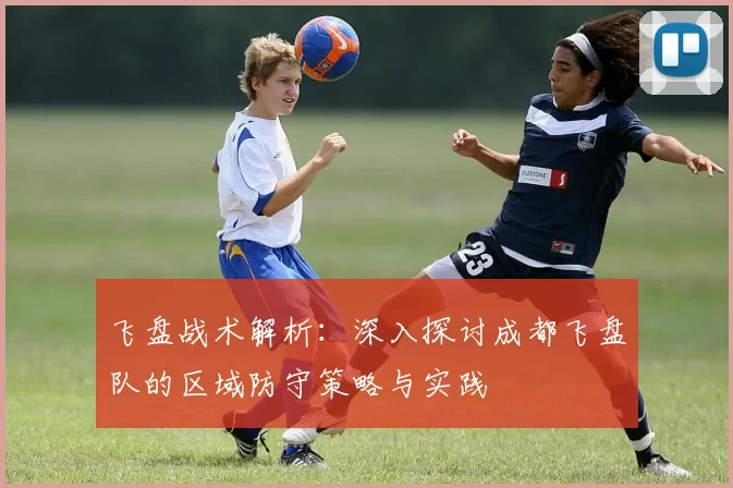 飞盘战术解析:深入探讨成都飞盘队的区域防守策略与实践