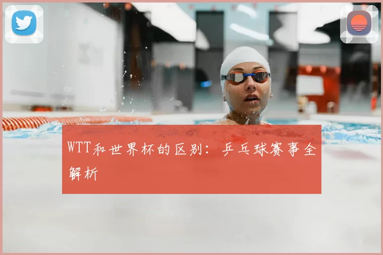 WTT和世界杯的区别：乒乓球赛事全解析