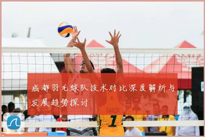 成都羽毛球队技术对比深度解析与发展趋势探讨